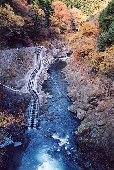 白丸ダムの魚道(2003.11.23)